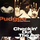 PUDGEE  THA PHAT BASTARD : CHECKIN' OUT THE AVE.