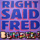 RIGHT SAID FRED : BUMPED