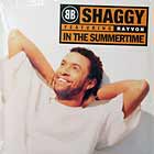 SHAGGY : IN THE SUMMERTIME