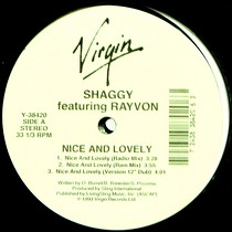 SHAGGY : NICE AND LOVELY