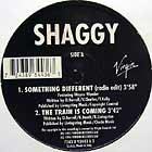 SHAGGY : SOMETHING DIFFERENT  / THE TRAIN IS C...