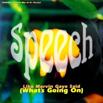 SPEECH : LIKE A MARVIN GAYE SAID (WHAT'S GOING ON)