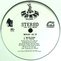 STEREO THE BIG MAN : WHAT IS IT