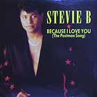 STEVIE B : BECAUSE I LOVE YOU