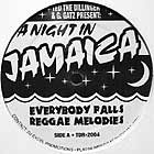 TED THE DILLINGER : EVERYBODY FALLS REGGAE MELODIES