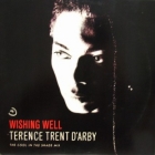 TERENCE TRENT D'ARBY : WISHING WELL  (THE COOL IN THE SHADE MIX)