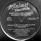 TKEYLOW & THE CRIMINAL ELEMENT ORCHESTRA : COULD IT BE I'M FALLING IN LOVE