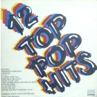 V.A. : 12 TOP POP HITS