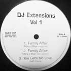 V.A. : DJ EXTENSIONS  VOL.1