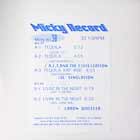V.A. : MICKY RECORD  VOL.30