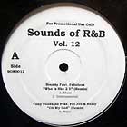 V.A. : SOUNDS OF R&B  VOL. 12