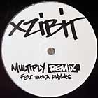 XZIBIT  ft. BUSTA RHYMES : MULTIPLY  (REMIX)