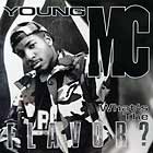 YOUNG MC : WHAT'S THE FLAVOR ?